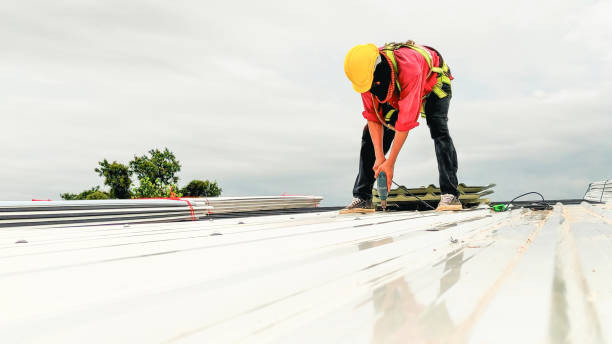 Best Roof Moss and Algae Removal  in Chase City, VA